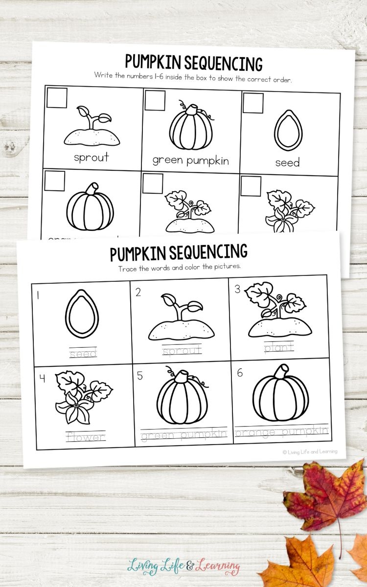 sequencing worksheets preschool