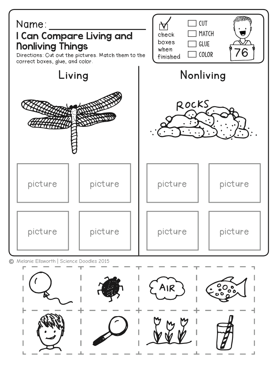 Science Worksheets For Kindergarten Free Printables Worksheets Library Science Worksheets For Kindergarten Free Printables Worksheets Library