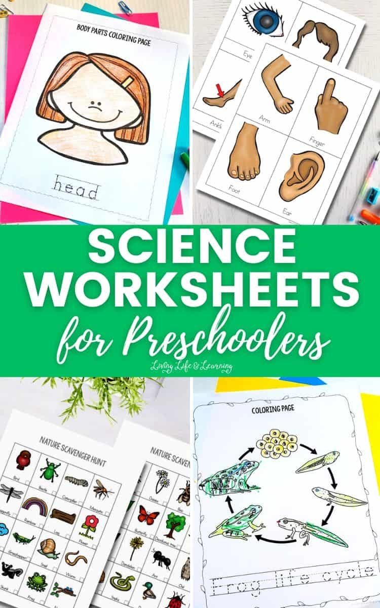 Science Worksheets For Preschoolers Science Worksheets For Preschoolers