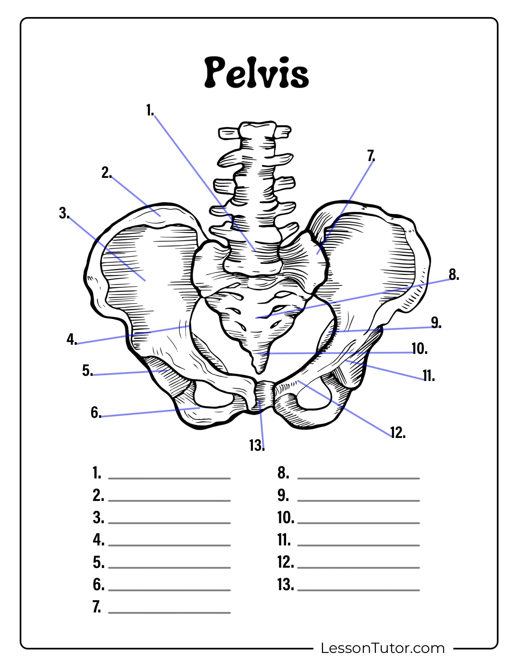free printable anatomy worksheets pdf