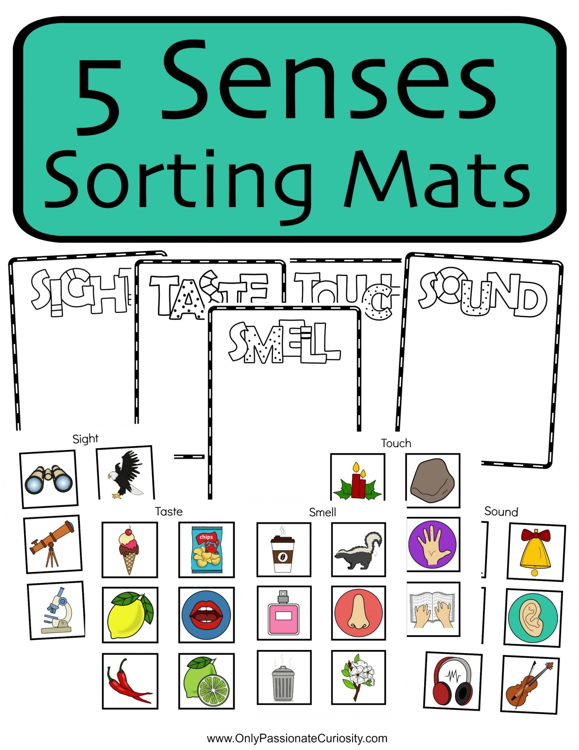 Sorting Mats Worksheets The 5 Senses Only Passionate Curiosity Sorting Mats Worksheets The 5 Senses Only Passionate Curiosity