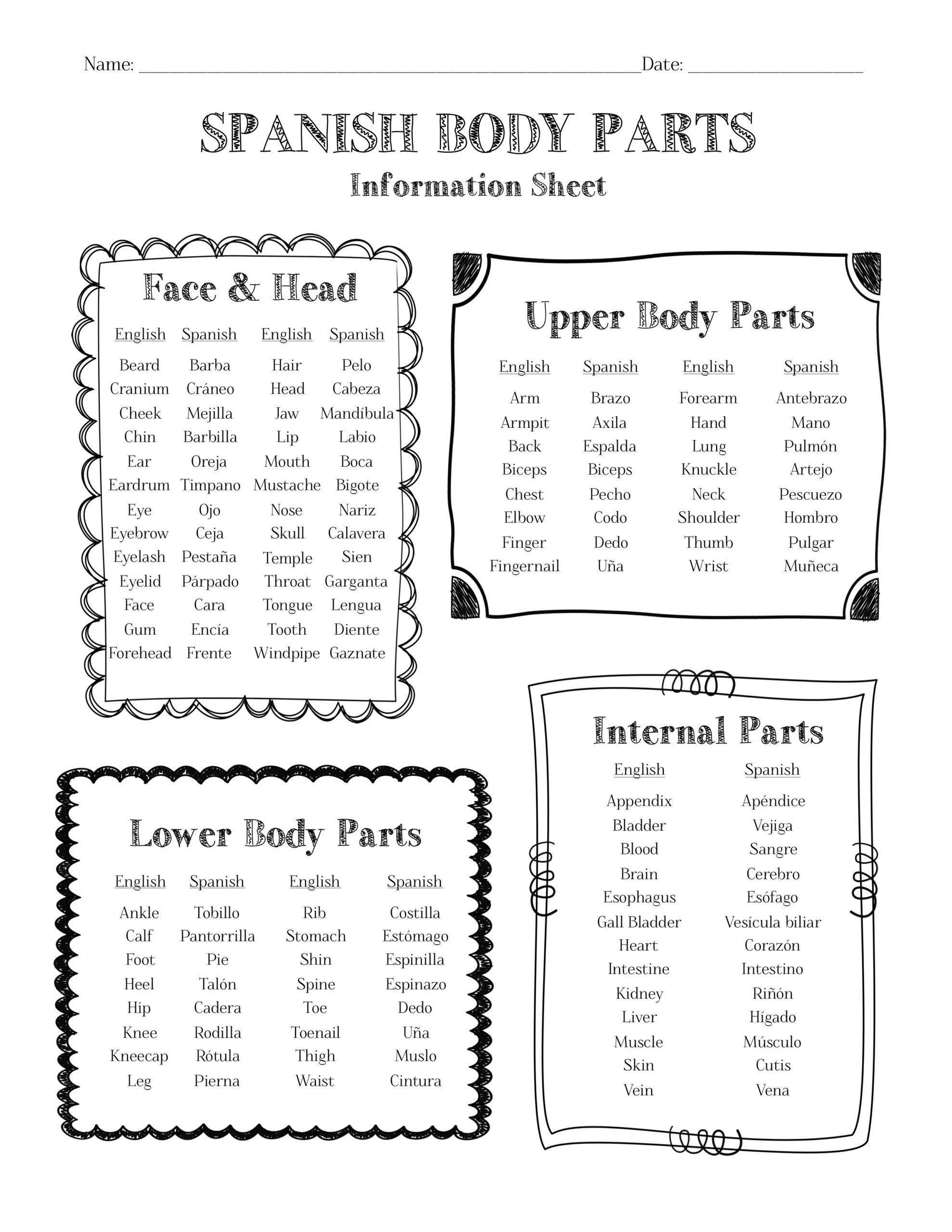 Spanish Body Parts Information Sheet Worksheet And Answer Key Made By Teachers Spanish Body Parts Information Sheet Worksheet And Answer Key Made By Teachers