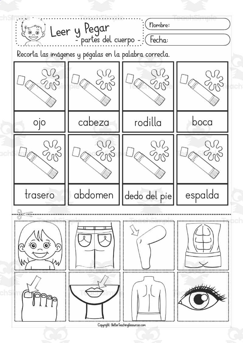 Spanish Vocabulary Practice Sheet Body Parts Cut And Paste By Teach Simple