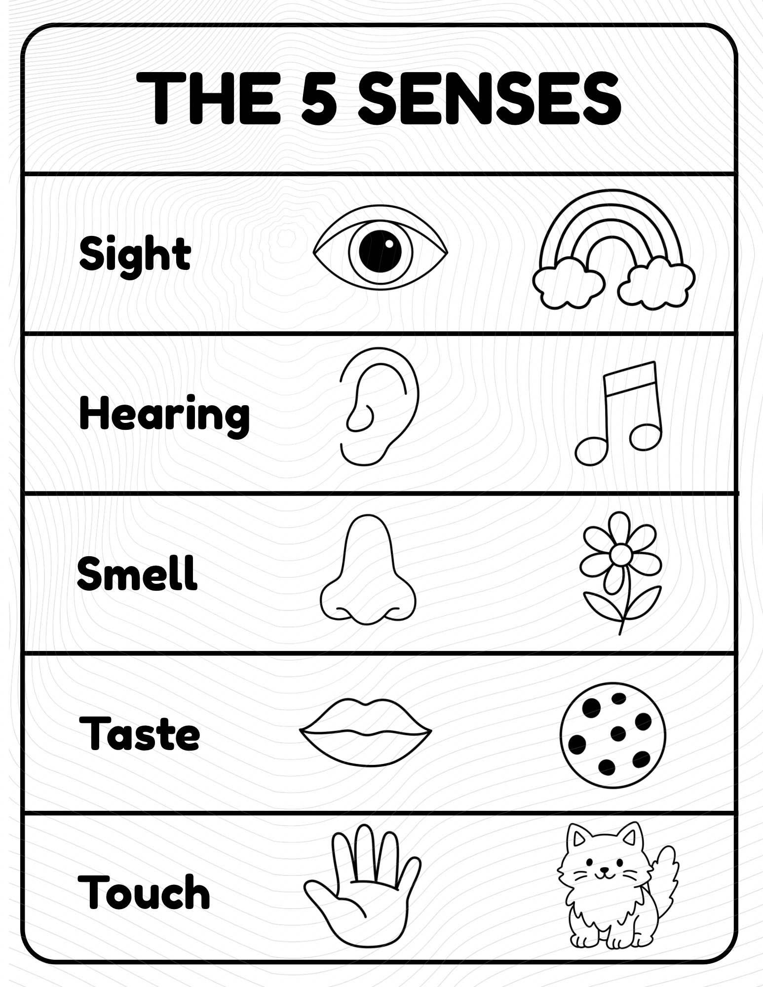 five senses worksheets for preschool