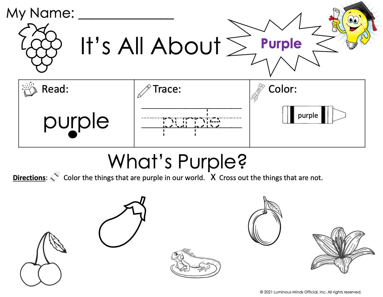 The Color Purple Activity Pack Introduce And Teach The Color Purple Etsy