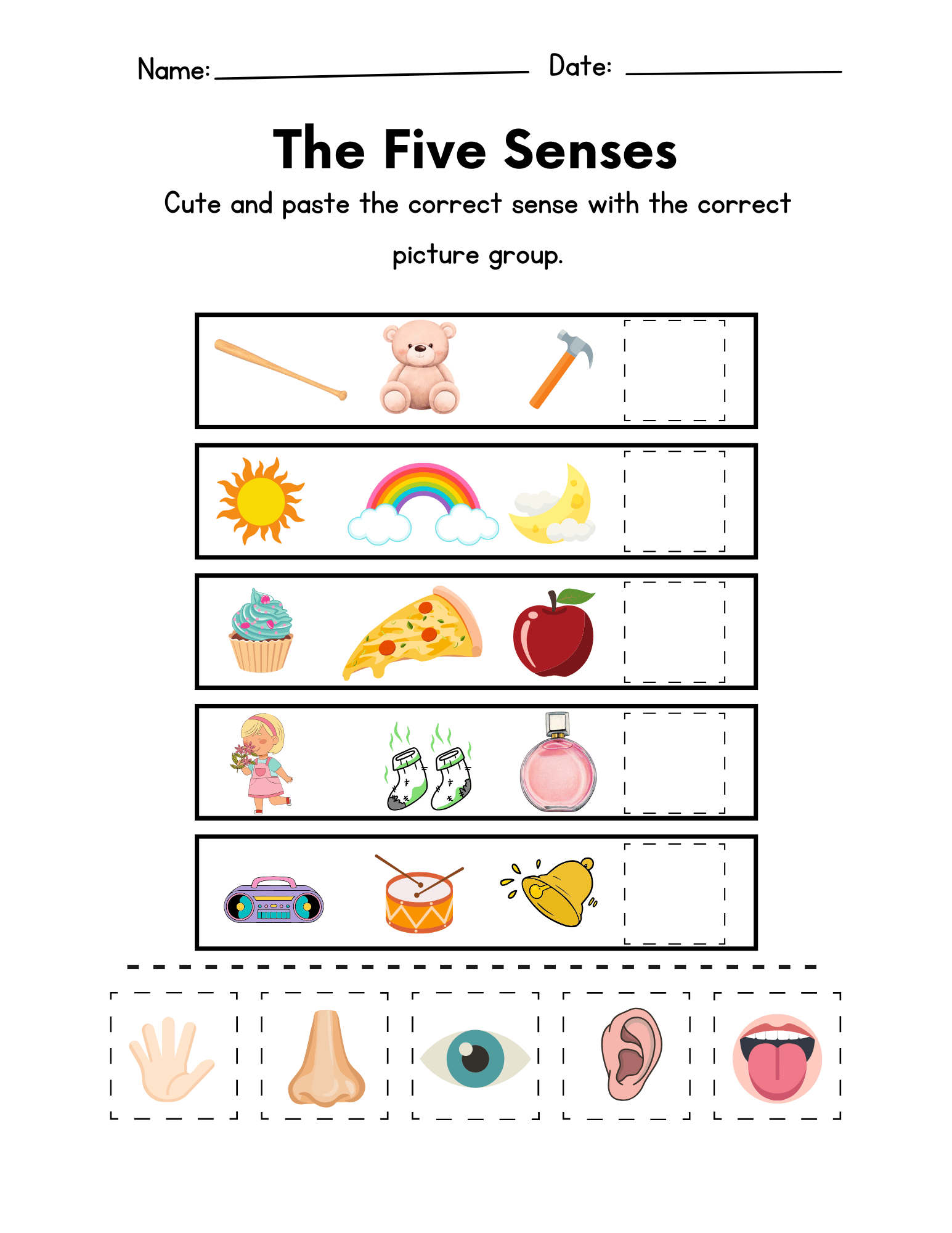 The Five Senses Worksheet Education World
