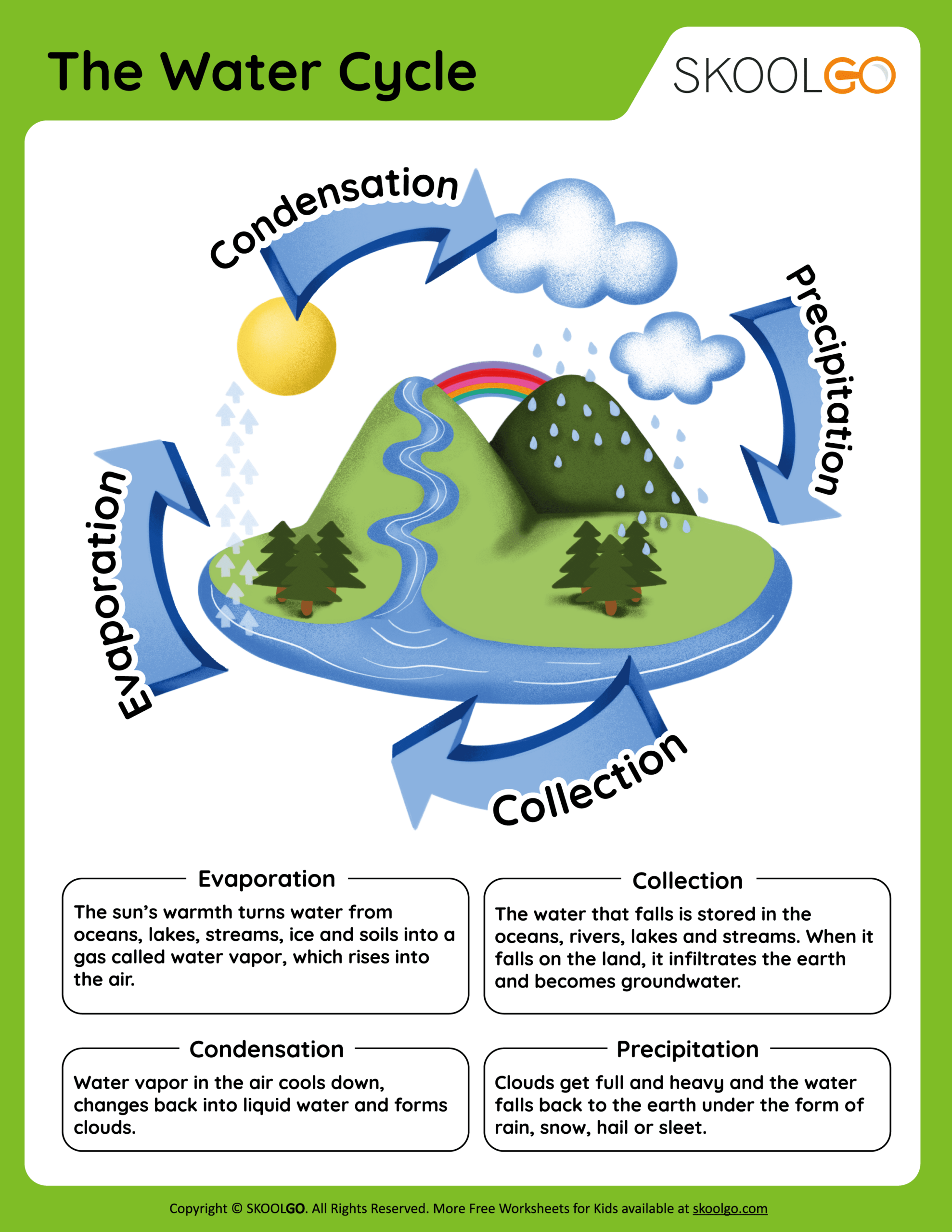 The Water Cycle Free Worksheet SKOOLGO