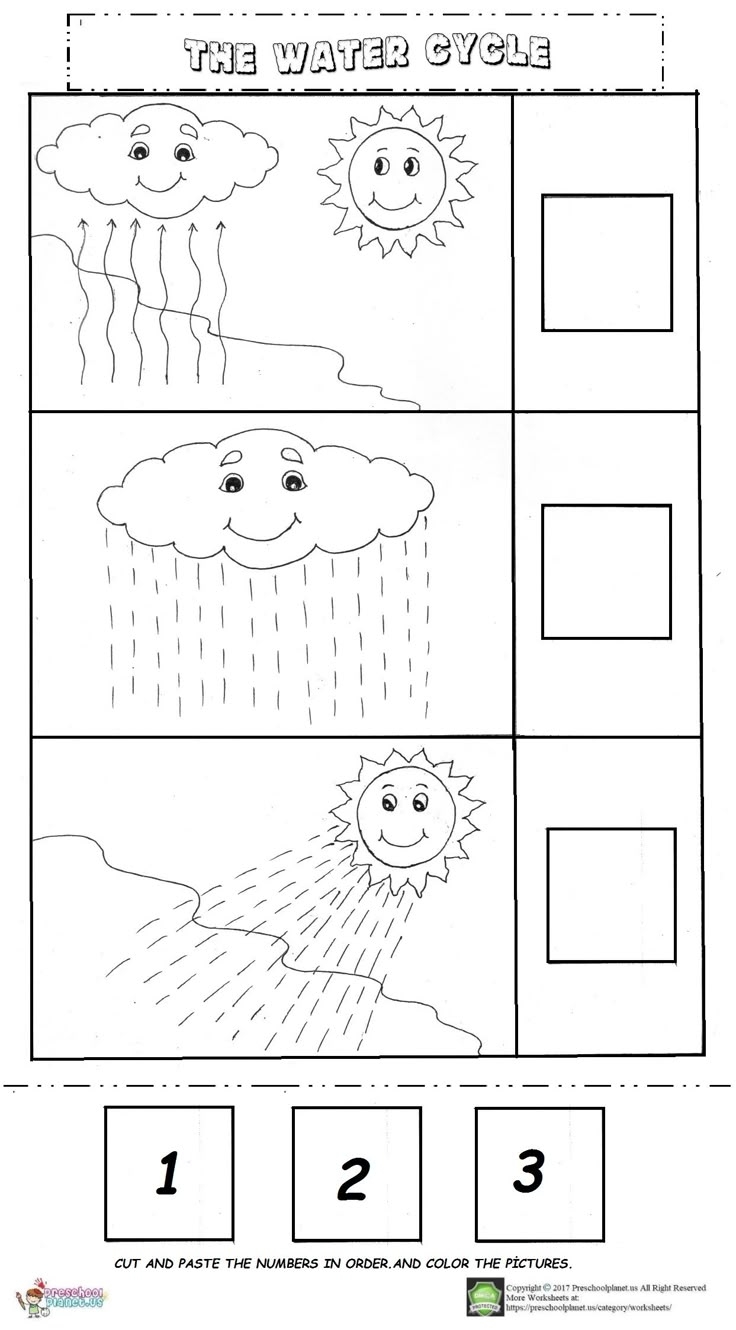 The Water Cycle Worksheet
