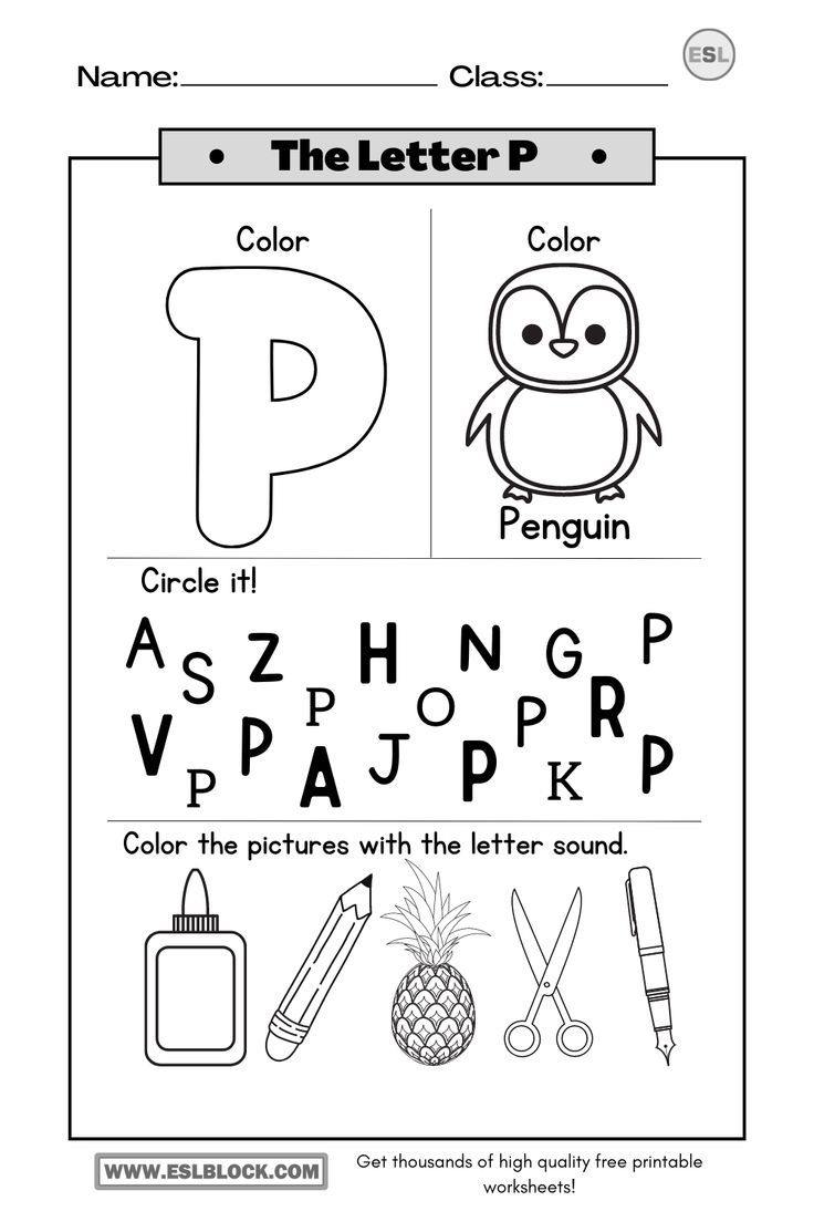Tracing The Letter P Worksheets
