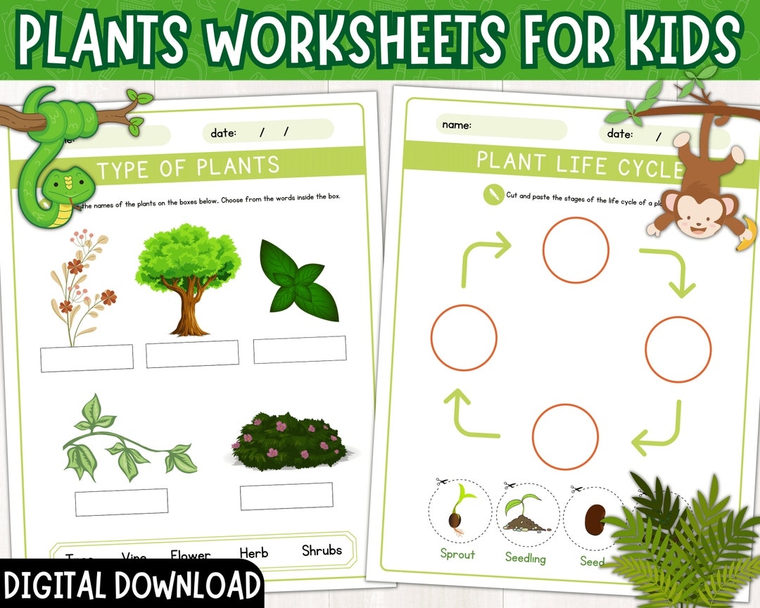 Types Of Plants Worksheet Plant Life Cycle Activity Types Of Plants Labeling Worksheet Printable Spring Unit Study PDF Etsy
