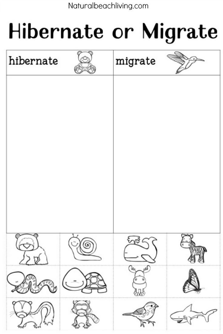 snow worksheets for preschool snow worksheets for preschool