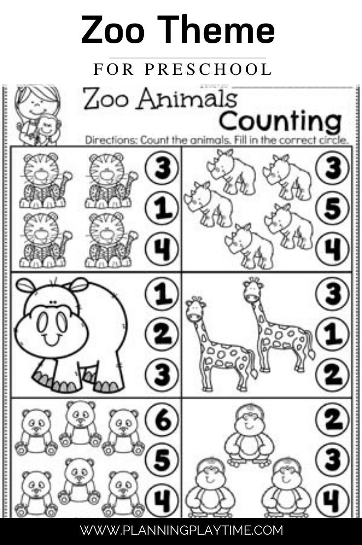 Zoo Animal Counting